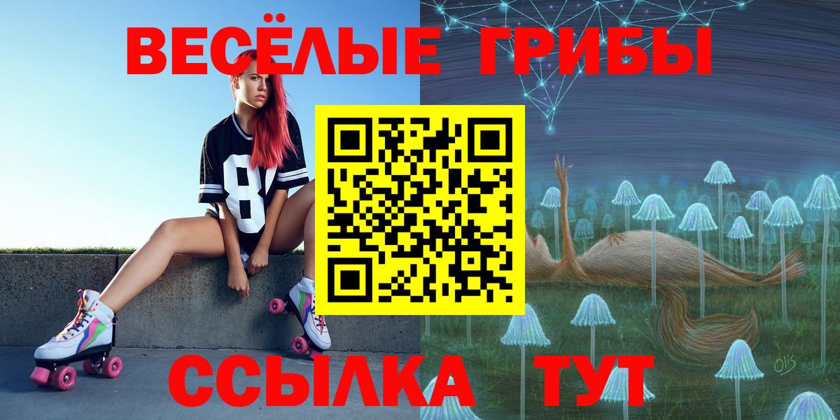 Галлюциногенные грибы Psilocybine cubensis  Вход с VPN  Псилоцибиновые грибы Psilocybe  Гатчина 