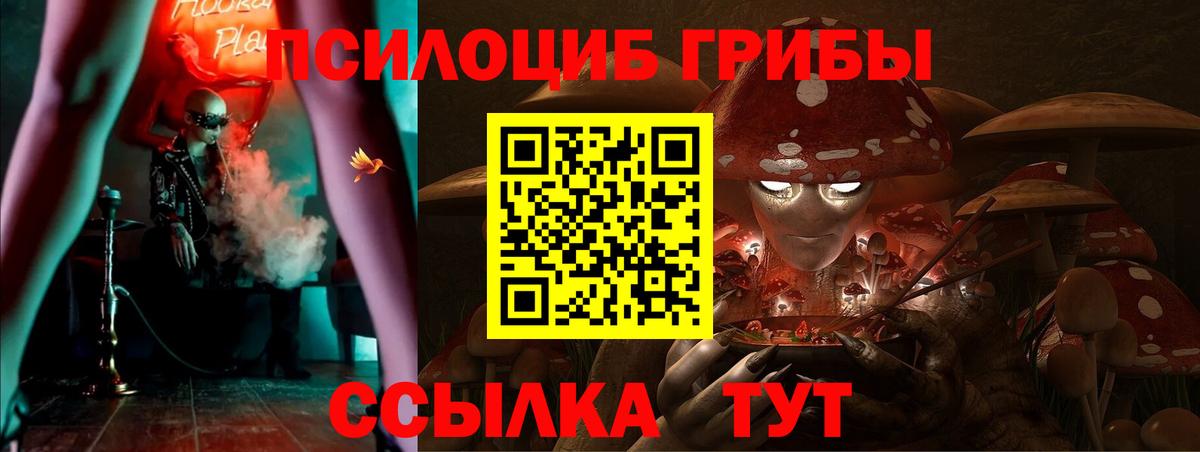 Галлюциногенные грибы ЛСД Гатчина
